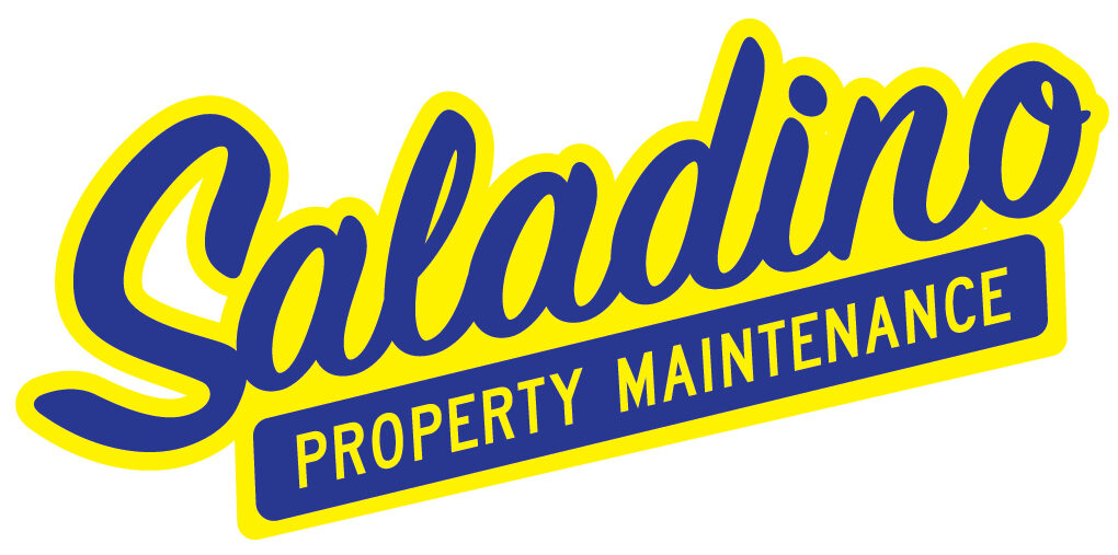 saladino logo 01