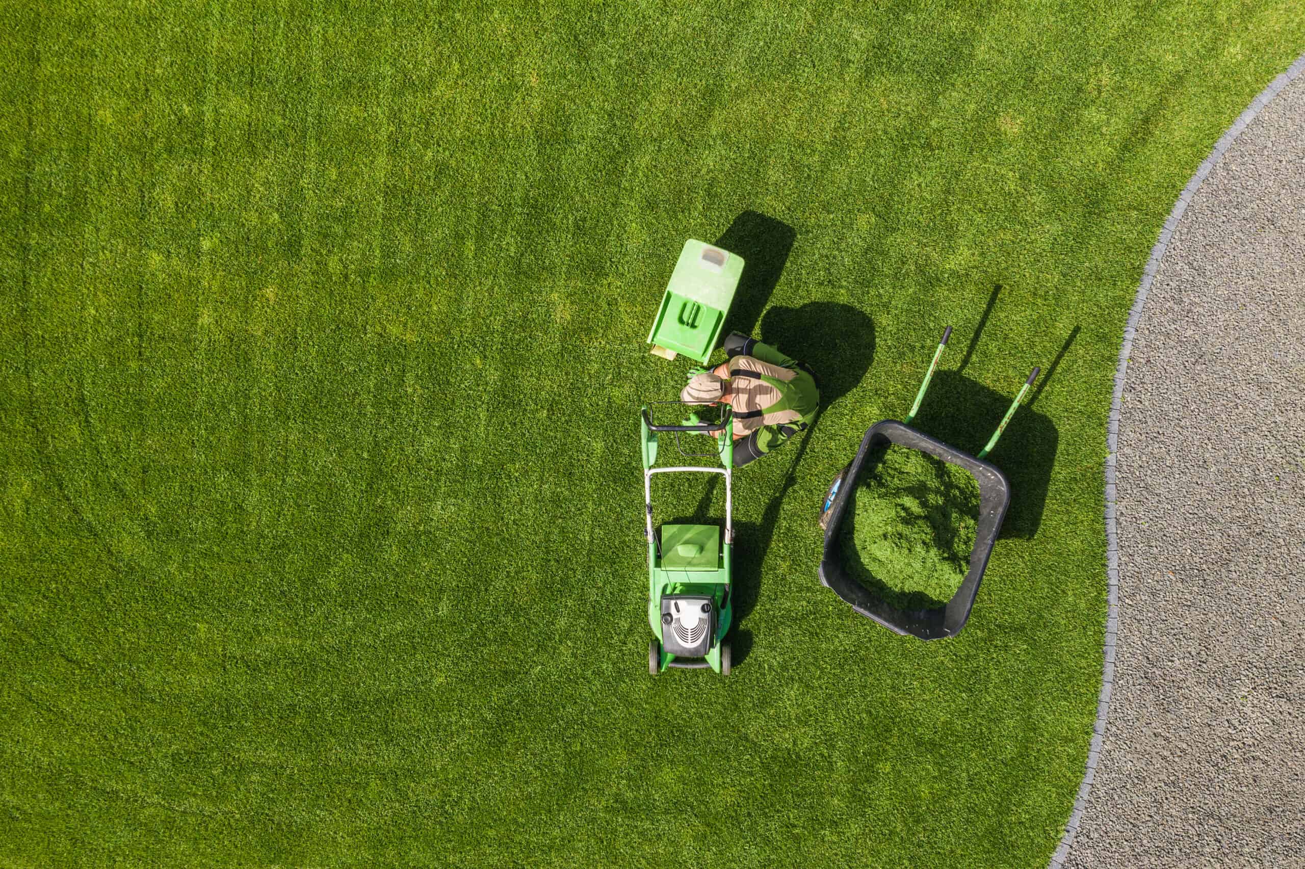backyard garden lawn mowing and maintenance aerial view